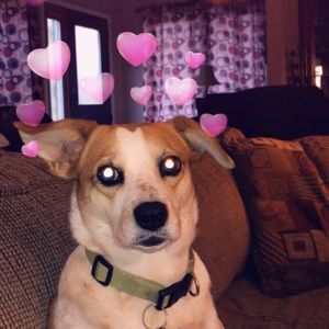 Meet your Posher, Jenna